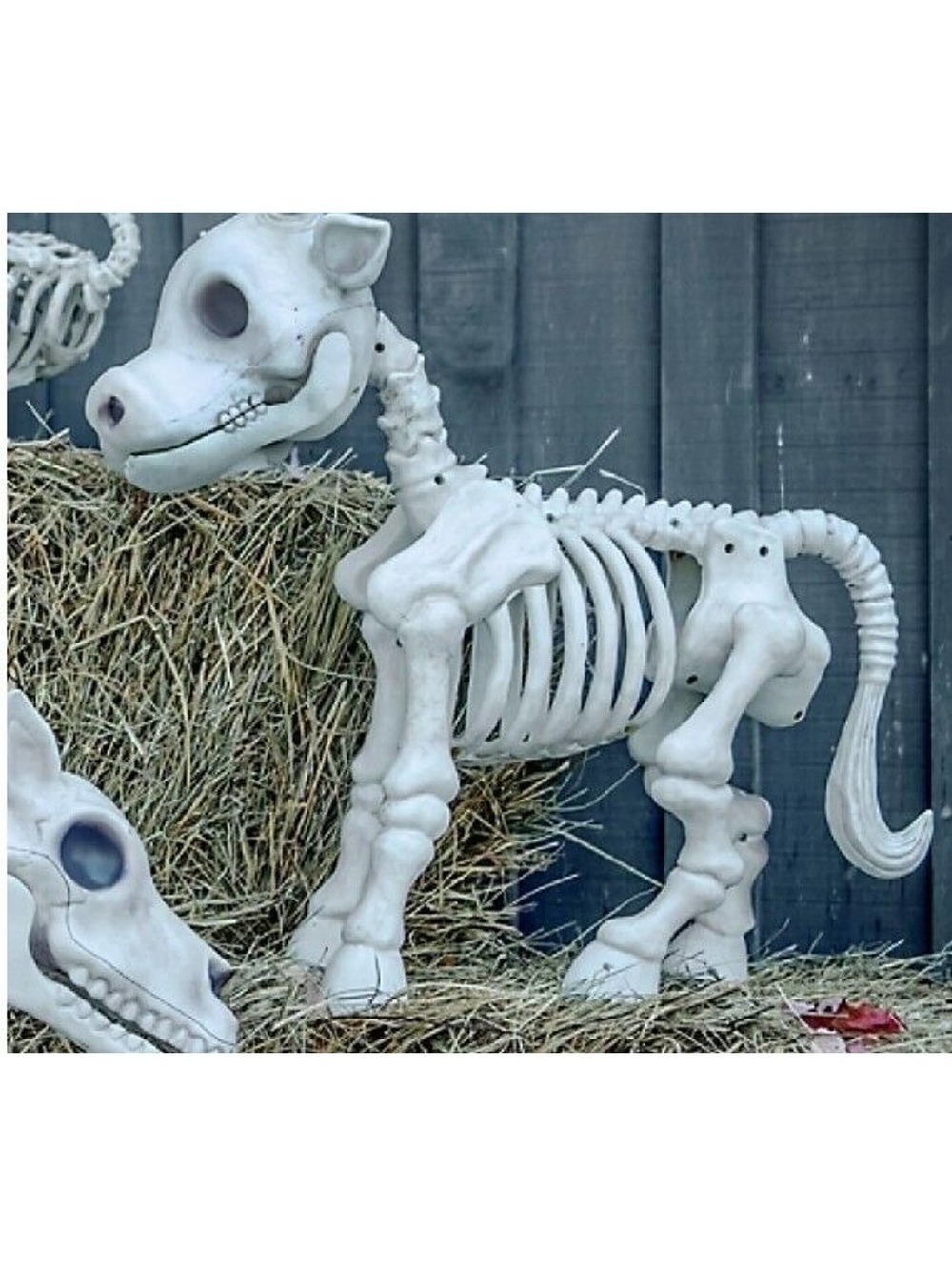 Red Shed Cow Skeleton Halloween Decoration Tractor Supply Tik Tok NEW SEALED